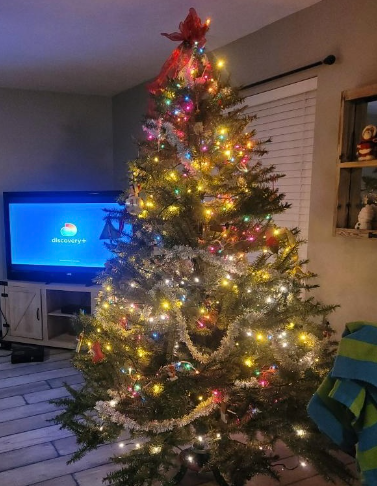 This photo shows the most popular holiday decorations in the U.S in one photo.