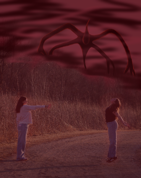 Stranger Things Going Upside Down