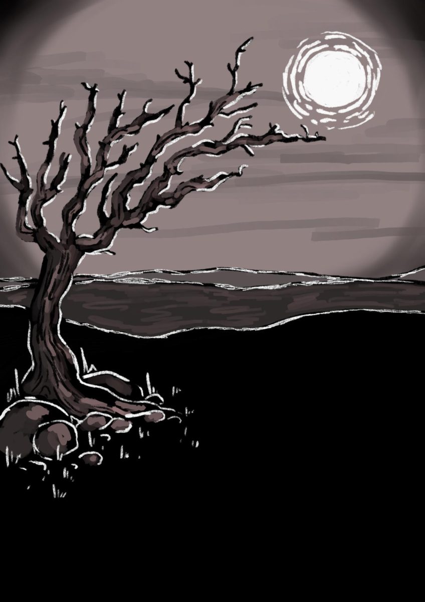 BULLDOG BOOK CORNER: "Wuthering Heights"